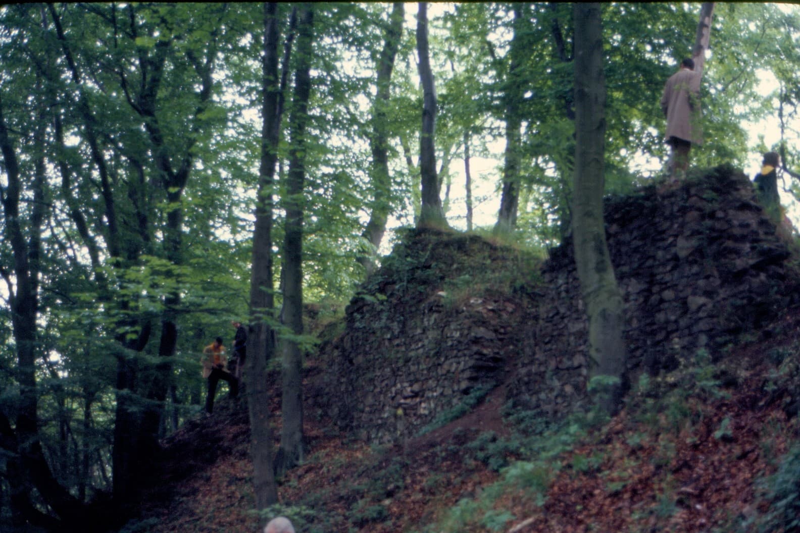 Image of castle remains